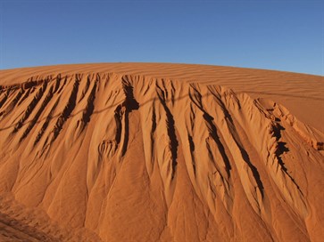 Shifting Sands - Simpson Desert 2007