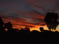 Savory Sunset - CSR 2007