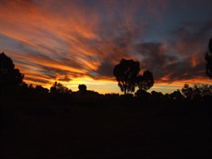 Savory Sunset - CSR 2007