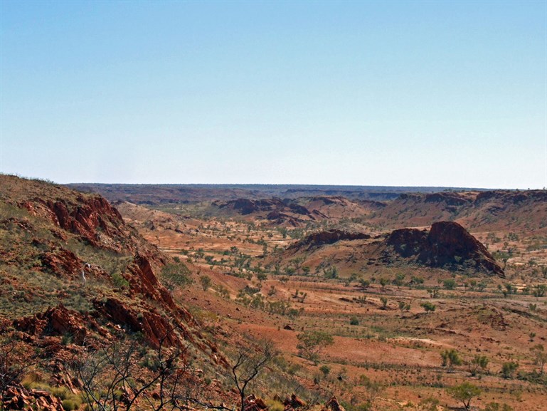 The shark - Rudall River 2008
