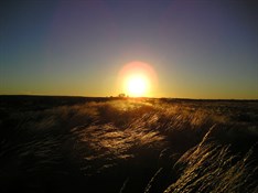 Spinifex sunset - Little Sandy Desert 2006