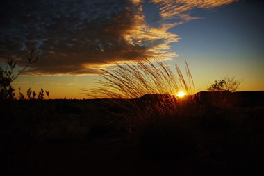Spinifex Sunset