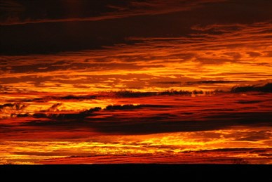 Desert Sunset - East of Warrabudda Soak on the Helena Springs track 2009