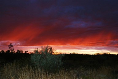 Dawn Aurora - First light reflecting of falling rain - Helena Spring 2009