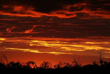 Desert Sunset - Warrabudda Soak - Helena Springs Track east of the CSR
