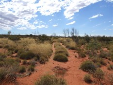 Dsert Tracks - heading towards Constance Headland - Little Sandy Desert 2008