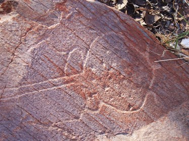 Turtle Glyph - Throssel Ranges - Great Sandy Desert 2008
