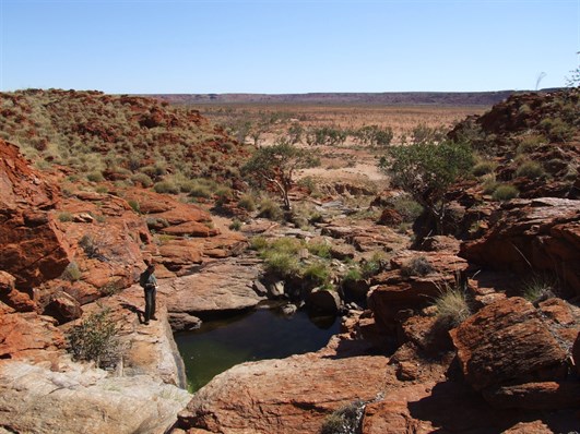 A fantastic discovery - A rockhole high in the Throssell Ranges
