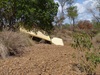 The perils of creek crossings - Carson River Station