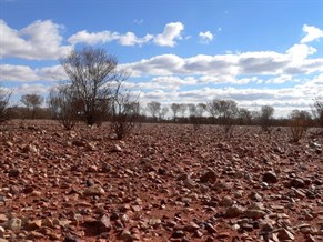 Dry country and gibbers beca,e a familiar sight.