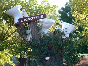 Lava-tree