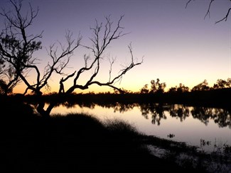 Sunset colours at the Dig Tree