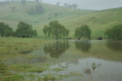 water covers the grass in paddocks along the Princes Highway