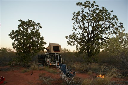 Camp beneath the Desert Walnuts - GSD 2009