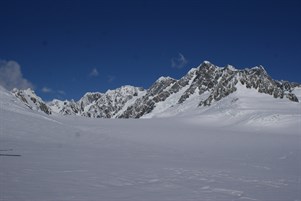 Snowfields atop Franz Joseph