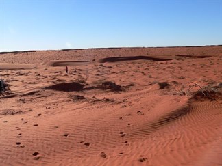 Exploring the dunes