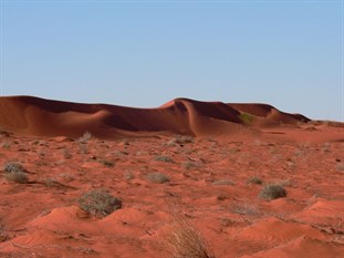 Beautiful sculptured dune
