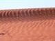 Insect tracks on the dunes