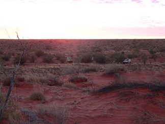 Sunset in a red desert