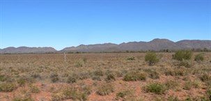 Along the Plenty Highway