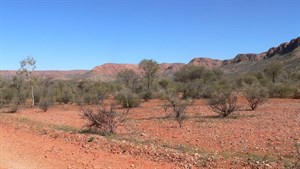 On the way to Ruby Gap