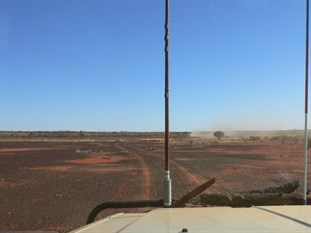Black gibbers onthe way to Lake Caroline