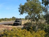 Barkly Highway lined with flowering shrubs
