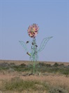Sculptures