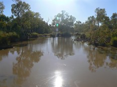 Mayne River