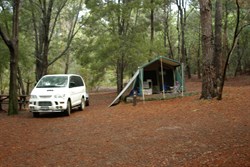 Camp at Shannon National Park - a bit blurry, but so was I