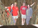 Cathedral Fig Tree