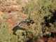Looking down on Fortescue Falls