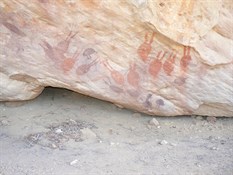 Aboriginal Art - Fruit Bats