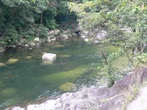 Mossman Gorge