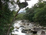 Mossman Gorge