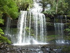 Russell Falls, Mt Field NP
