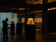 Inside the MONA Museum
