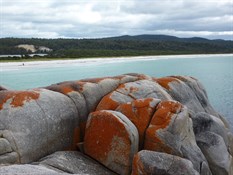 Striking orange rocks, Bay of Fires