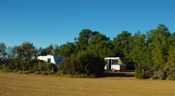lovely campsites at Coward Springs