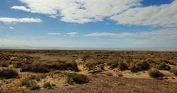 water visible in Lake Eyre South