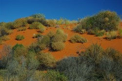 red sand hills....beautiful