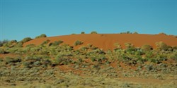 red sand hills north of William creek..taken from moving vehicle