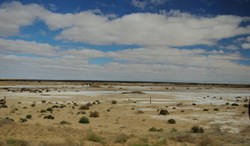 landscape between Marree and Coward Springs