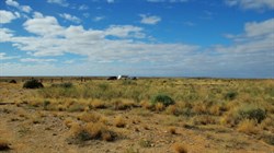 landscape between Marree and Coward Springs