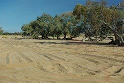 sandy creek crossing