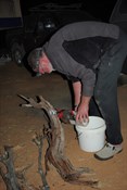 John prepares the mouse trap at William Creek