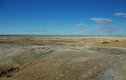 landscape near mound bubbler springs