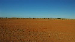 interesting cricket ground and pitch at farina