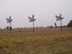 Photo Comp