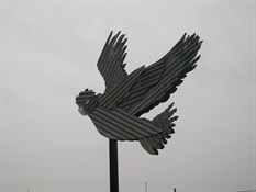Photo Comp